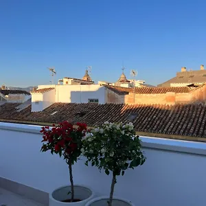 atico-con-terraza-en-el-corazon-de-mlaga.1costadelsol.com/