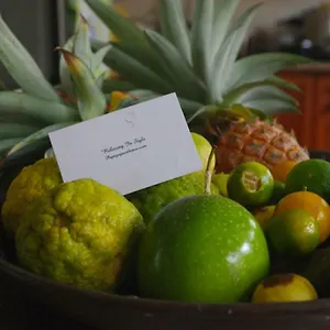 Papaya Вилла Misere